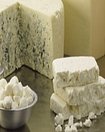 CheeseImage