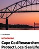 CapeCodArticleImage