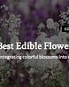 Edible Flowers__Article
